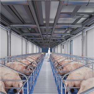 Estrutura de aço para fazenda de gado de construção metálica