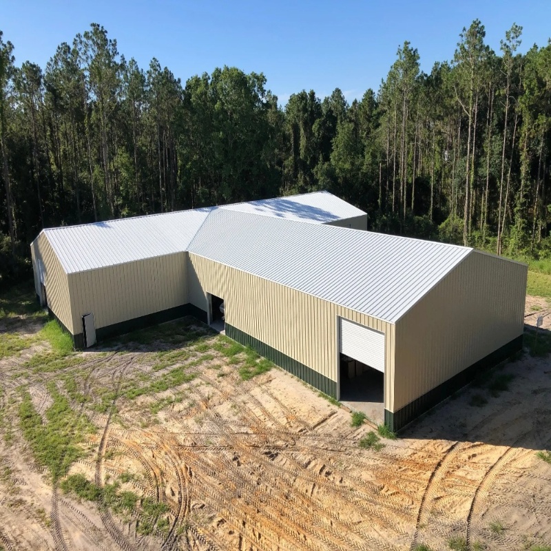 How to Construct Agricultural Storage Buildings: Steel Warehouse Solutions are at the Forefront of Modern Farming