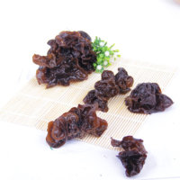 Премиальный дикий черный гриб