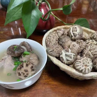 فطر شيتاكي مخطط الزهور الفاخر