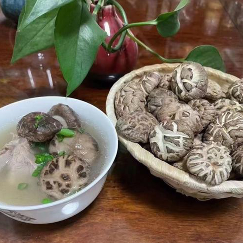 فطر شيتاكي مخطط الزهور الفاخر