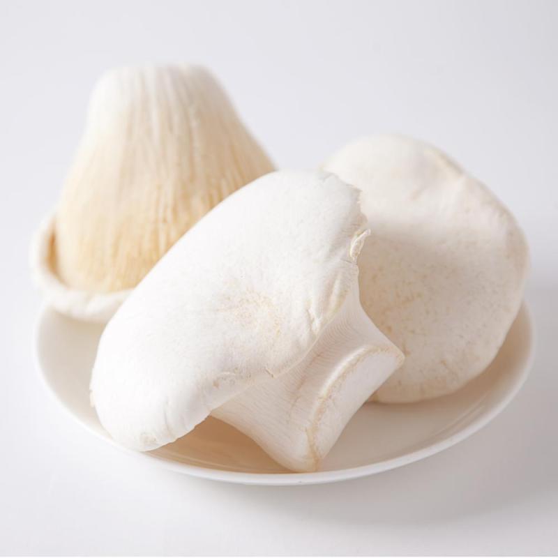 Premium getrocknete Bailing-Pilze (Pleurotus eryngii) für den Export