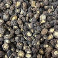 Hongo negro seco de primera calidad