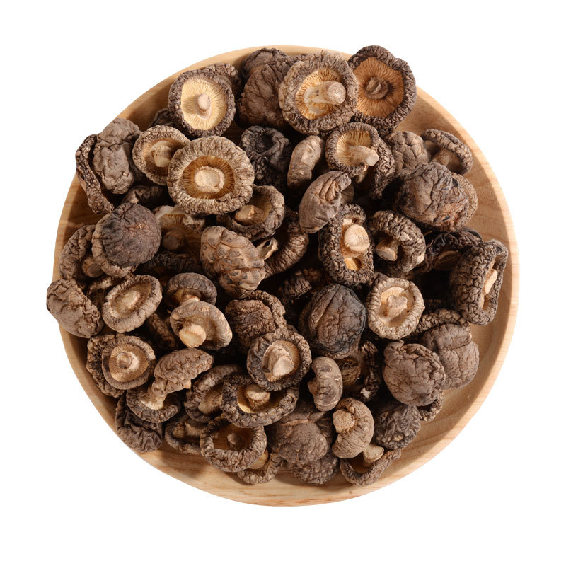 Hongo negro seco de primera calidad