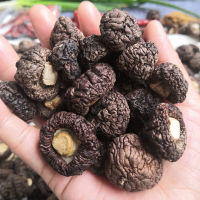 Hongo negro seco de primera calidad