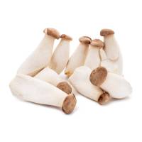 Pleurotus eryngii séché