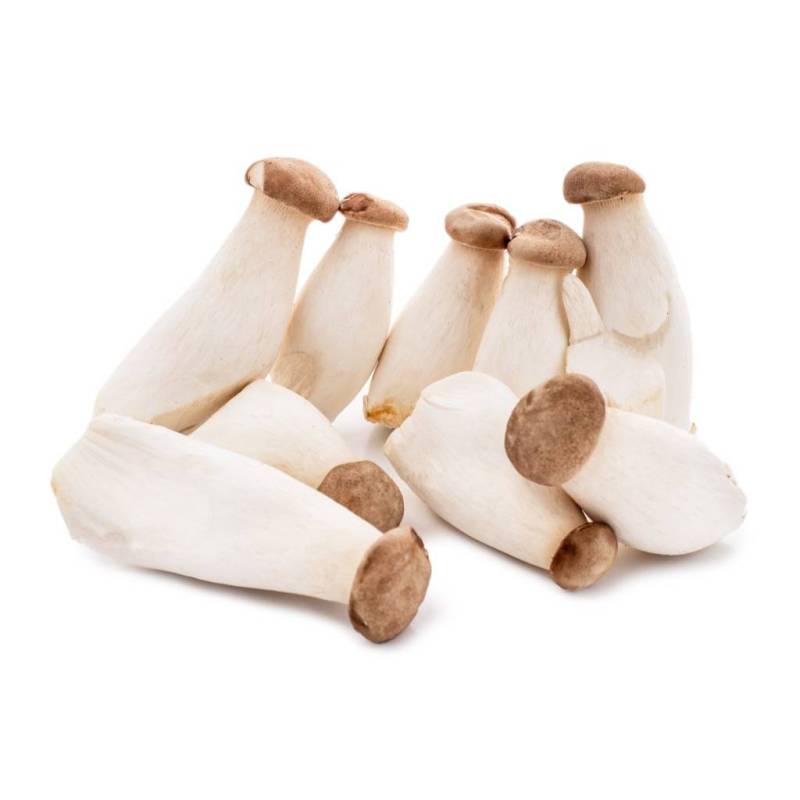 Pleurotus eryngii séché