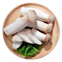 Pleurotus eryngii séché