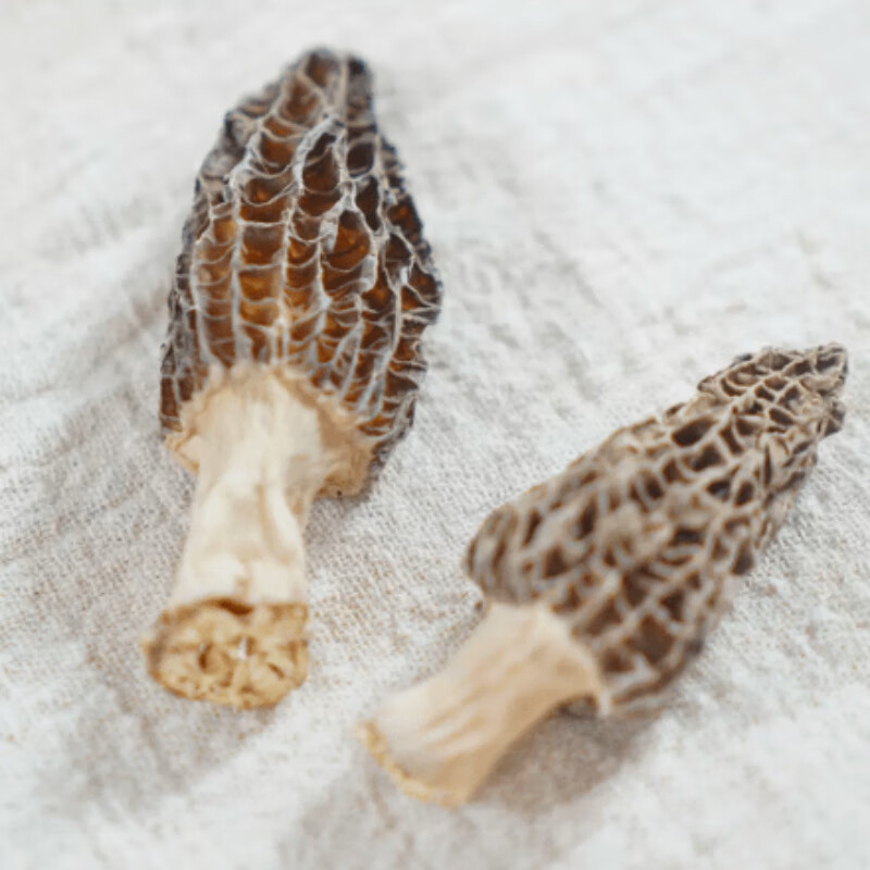 モレルマッシュルームサラダドレッシング