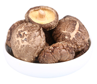 log-grown shiitake mushrooms