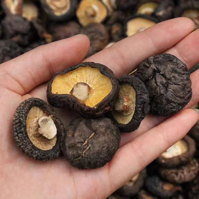 log-grown shiitake mushrooms