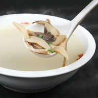 Esencia concentrada Polypore Pro