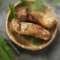 Peanut butter with pine mushrooms