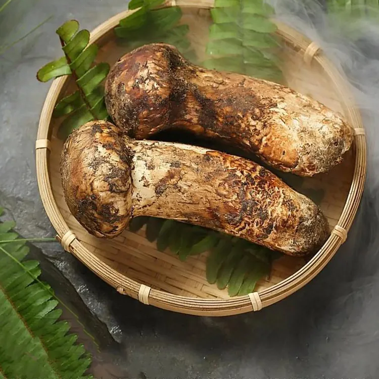 Peanut butter with pine mushrooms