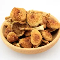 Pholiota nameko