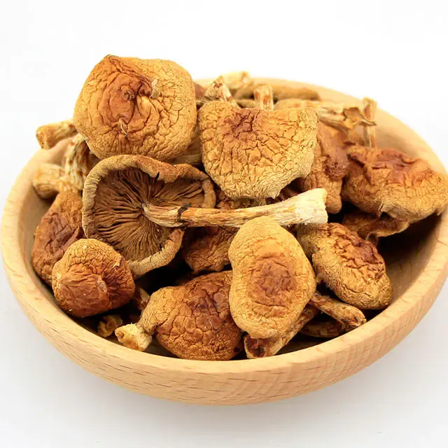 Pholiota nameko