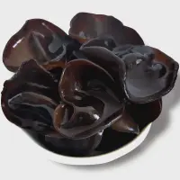 Cogumelo orelha de madeira preta
