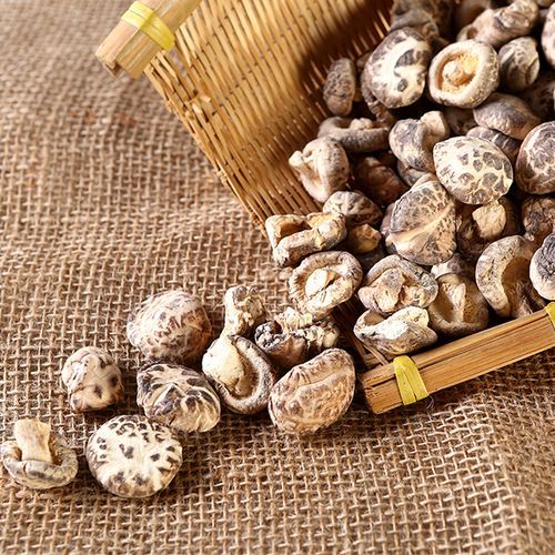 Cogumelo de flor pequena