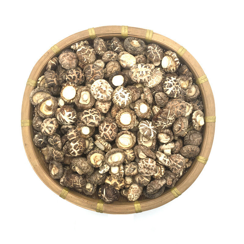 Cogumelo de flor pequena