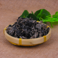 Fungo de orelha de madeira monolítico