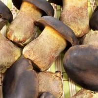 Porcini Thousand Island Dressing