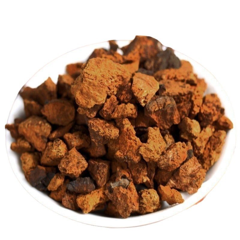 مشروب فطر شاجا الصلب