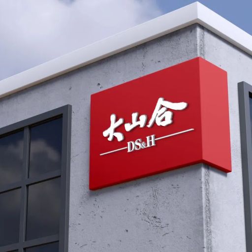 Dashanhe Corporation Profile