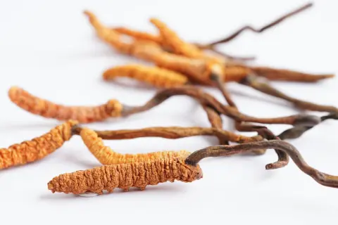 The Sustainable Alternative to Winter Worm Summer Grass