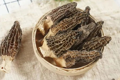 料理の贅沢と健康のための「野生キノコの王様」