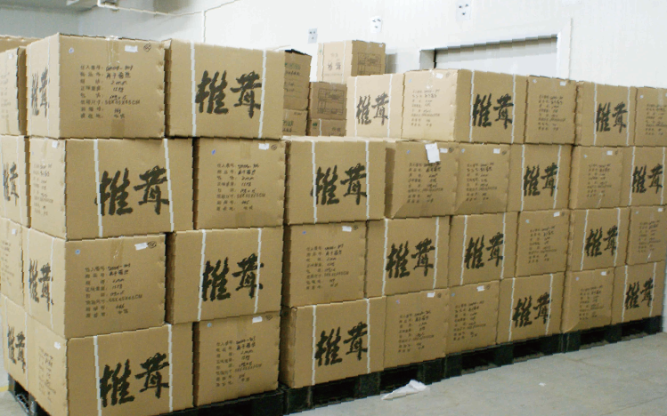 حلول موثوقة للتسليم والدفع لتحقيق النجاح في التجارة العالمية