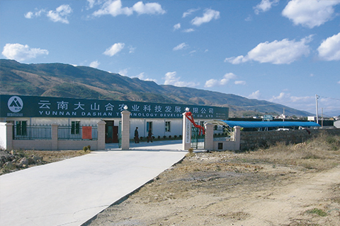 Fazendas Orgânicas de Yunnan