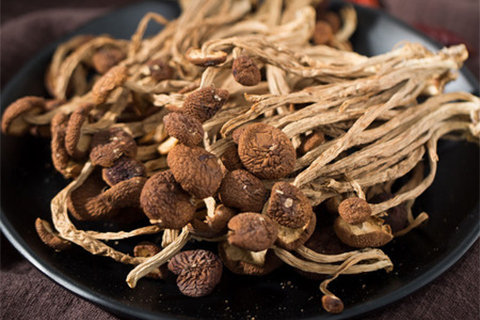 Seasonings Installation and Commissioning Notes for Buyers
