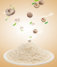 Essência de Cogumelo Shiitake