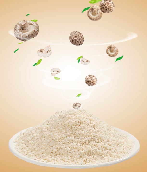 Essência de Cogumelo Shiitake