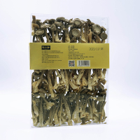 Deer Antler Mushroom