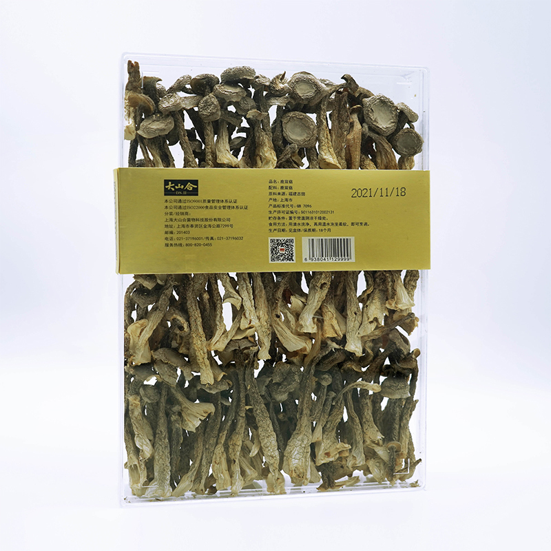 Deer Antler Mushroom