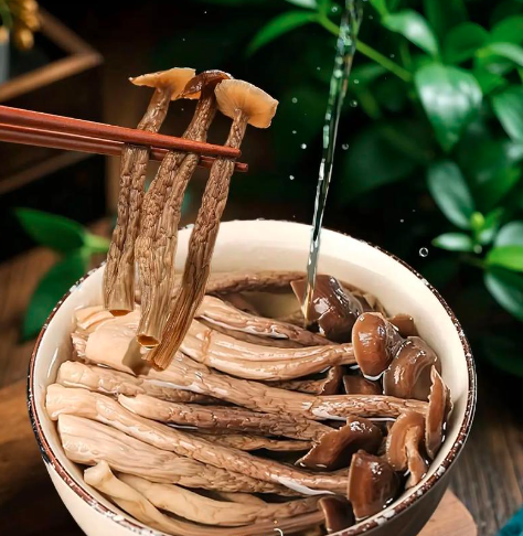 Bulk Deer Antler Mushroom Suppliers
