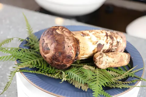 Why Fresh and Dried Offer Surprisingly Similar Nutritional Bounty