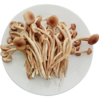 Premium Chinese Mushroom
