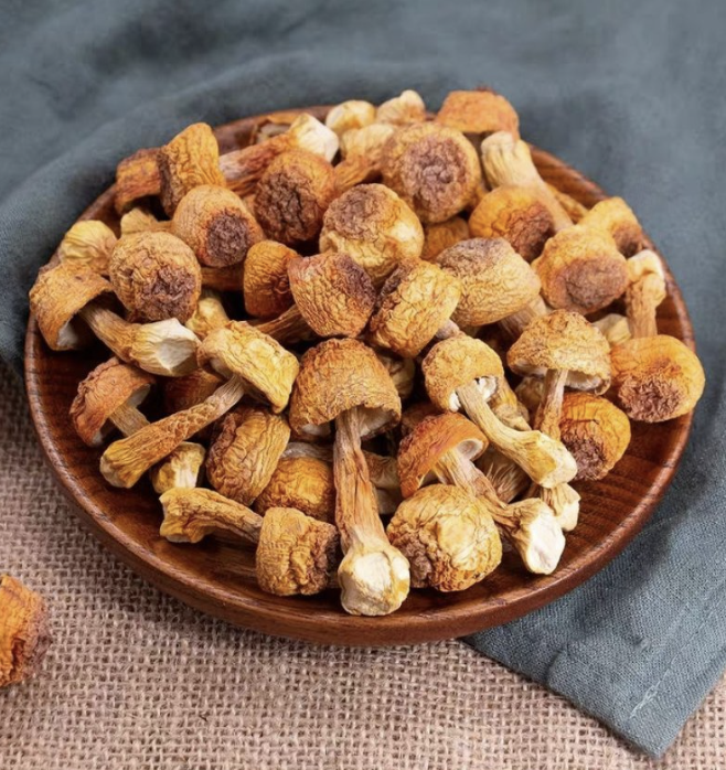 The Rise of Agaricus subrufescens in Japanese and Korean