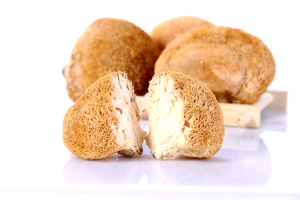 Dominando os cogumelos cabeça de macaco: técnicas culinárias para sabor e textura ideais