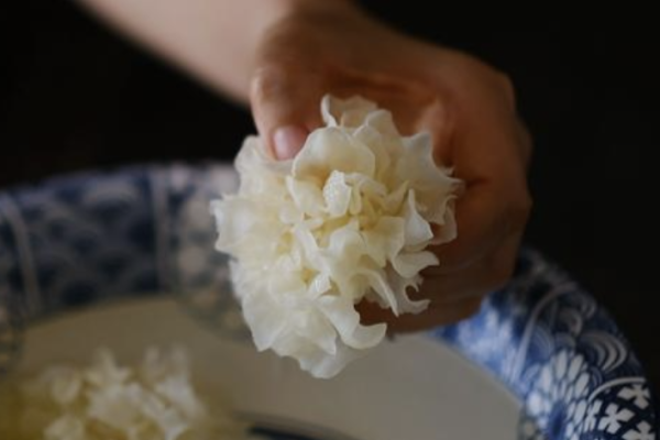 Why Log-Cultivated Silver Ear Mushroom Stands Out