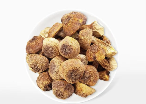 Cogumelos Shiitake (Agaricus blazei Murill)