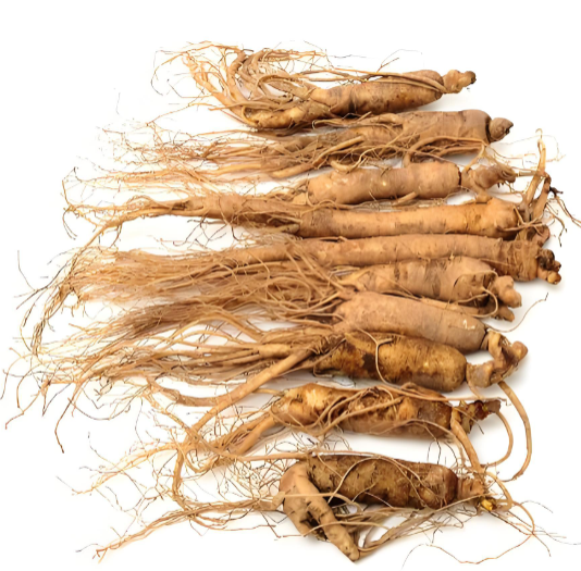 Ganoderma lucidum capsules