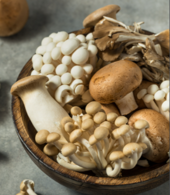 Dashanhe mushroom cultivation process