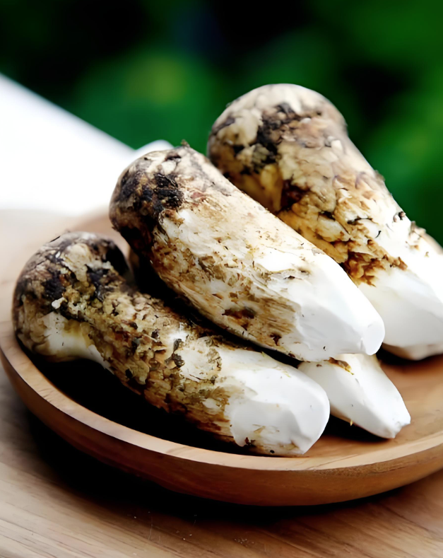 organic Matsutake mushroom powder