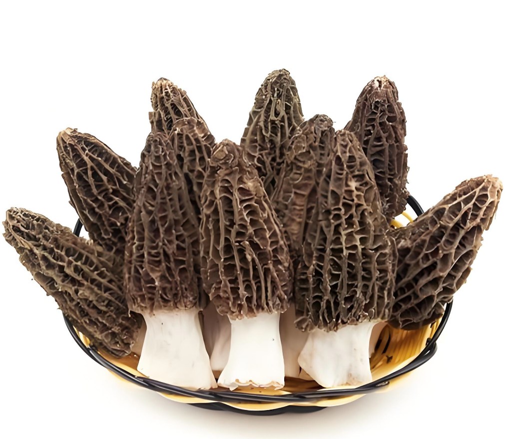 Chinese gourmet mushroom exporter