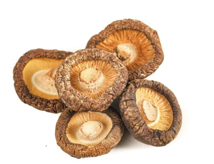 Yunnan highland mushrooms