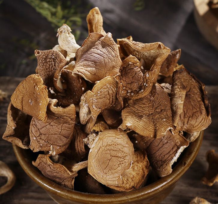 sustainable mushroom supplier