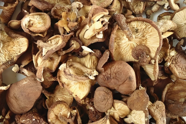 Bringing the Pristine Highlands to Your Kitchen